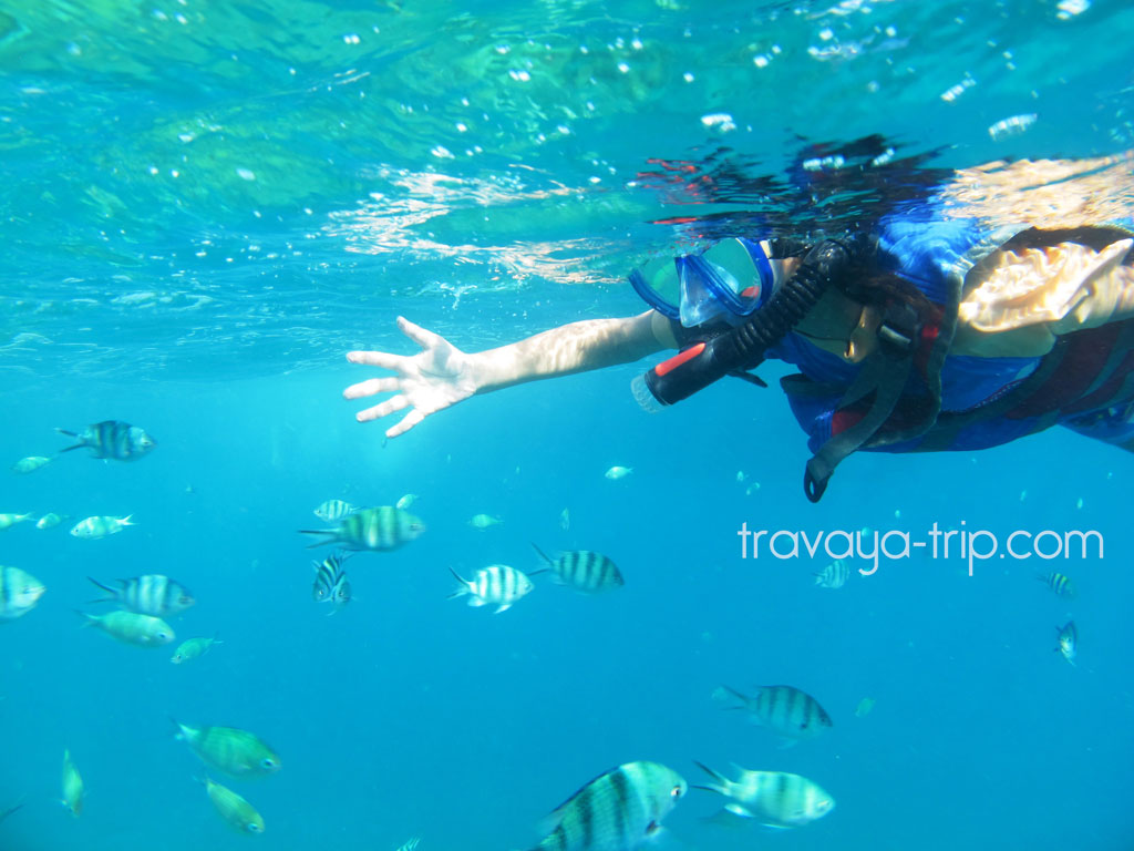 paket tour karimun jawa